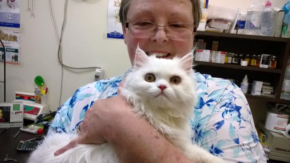 Pet patient at the clinic